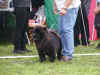2 unghund p Broholm d. 26.08.2006
