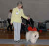 SL og 1 vinder i babyklassen i Herlufmagle d. 01.03.2008